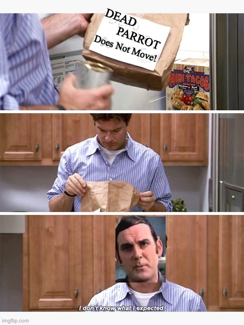 Dead Parrot Does Not Move | DEAD         
       PARROT; Does Not Move! | image tagged in dead dove do not eat,monty python,john cleese | made w/ Imgflip meme maker