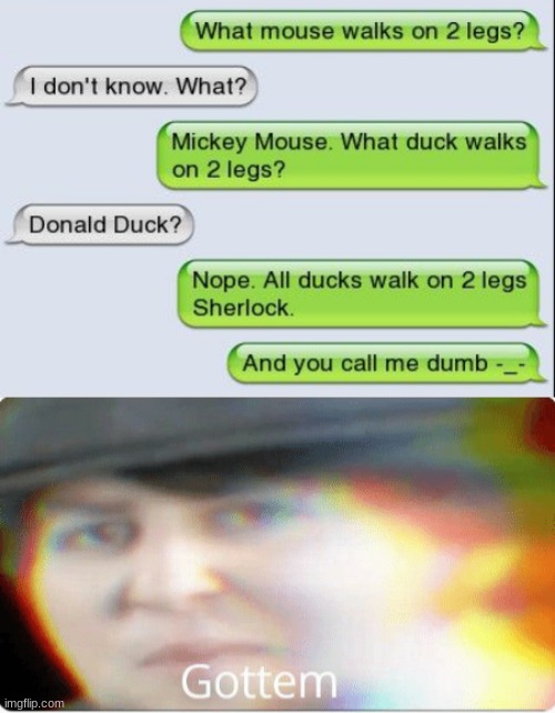 Donald duck | image tagged in gottem,duck,ducks | made w/ Imgflip meme maker