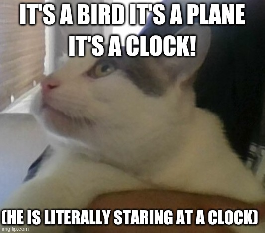 Now tell me how you feel inside | IT'S A CLOCK! IT'S A BIRD IT'S A PLANE; (HE IS LITERALLY STARING AT A CLOCK) | image tagged in w-what is happening | made w/ Imgflip meme maker