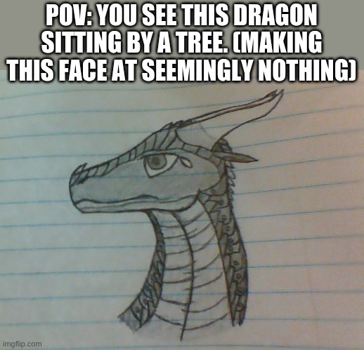 Soulseer rp | POV: YOU SEE THIS DRAGON SITTING BY A TREE. (MAKING THIS FACE AT SEEMINGLY NOTHING) | image tagged in soulseer,nightwing,roleplaying | made w/ Imgflip meme maker