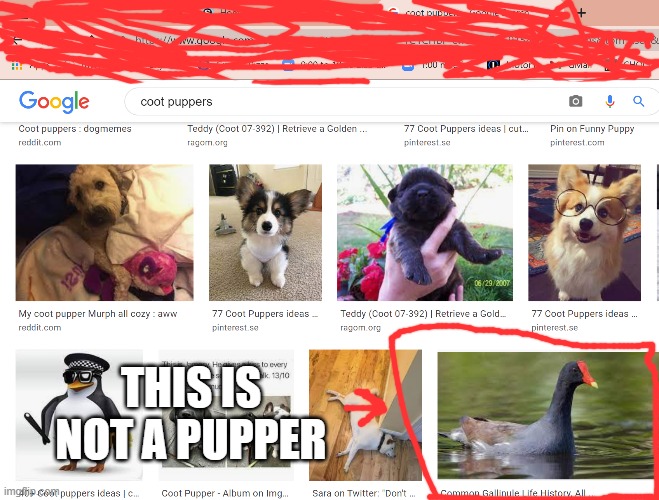 THIS IS NOT A PUPPER | made w/ Imgflip meme maker