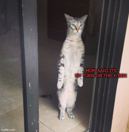 MOM SAID ITS MY TURN ON THE X-BOX | made w/ Imgflip meme maker