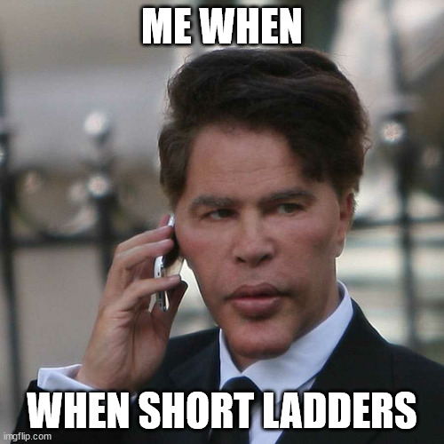 Dump It | ME WHEN; WHEN SHORT LADDERS | image tagged in dump it,gme_meltdown | made w/ Imgflip meme maker