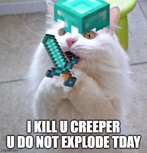 begging cat but its not begging | I KILL U CREEPER U DO NOT EXPLODE TDAY | image tagged in minecraft creeper,not today,cats | made w/ Imgflip meme maker