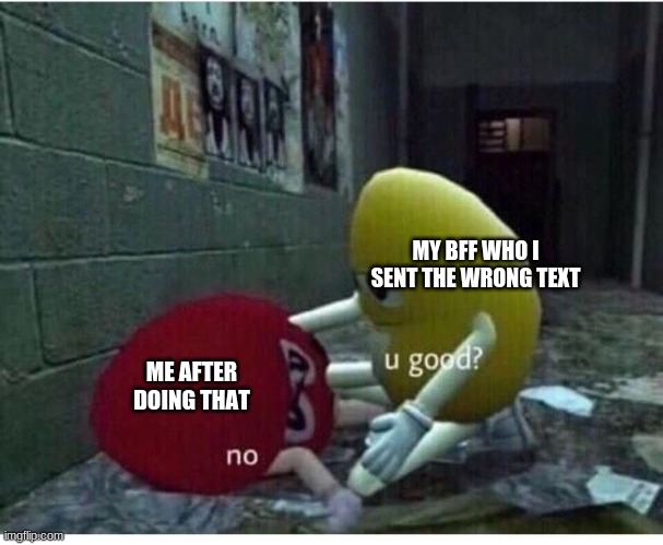 U Good No | ME AFTER DOING THAT MY BFF WHO I SENT THE WRONG TEXT | image tagged in u good no | made w/ Imgflip meme maker