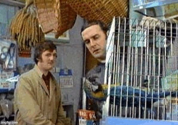 Monty Python dead parrot | image tagged in monty python dead parrot | made w/ Imgflip meme maker