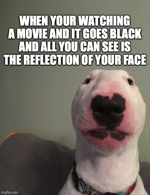 Walter | WHEN YOUR WATCHING A MOVIE AND IT GOES BLACK AND ALL YOU CAN SEE IS THE REFLECTION OF YOUR FACE | image tagged in walter | made w/ Imgflip meme maker