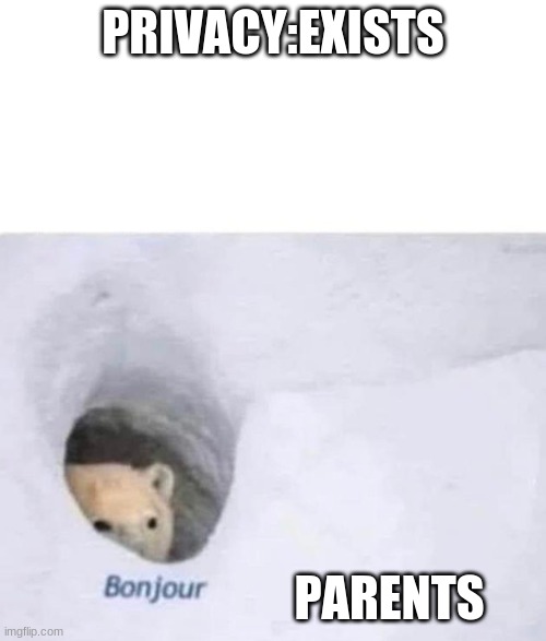No privacy | PRIVACY:EXISTS; PARENTS | image tagged in bonjour | made w/ Imgflip meme maker