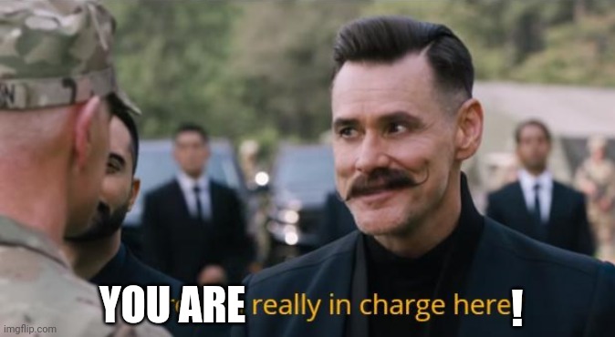 Are you really in charge here? | ! YOU ARE | image tagged in are you really in charge here | made w/ Imgflip meme maker
