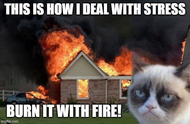 Stress reliever | THIS IS HOW I DEAL WITH STRESS; BURN IT WITH FIRE! | image tagged in memes,burn kitty,grumpy cat,stress,burn it,deal with stress | made w/ Imgflip meme maker