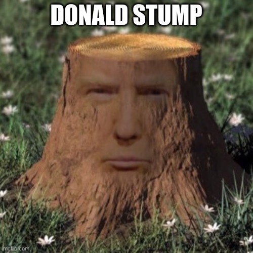 DONALD STUMP | made w/ Imgflip meme maker