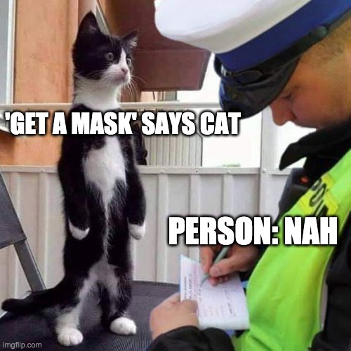 covid cat | 'GET A MASK' SAYS CAT; PERSON: NAH | image tagged in covid cat | made w/ Imgflip meme maker