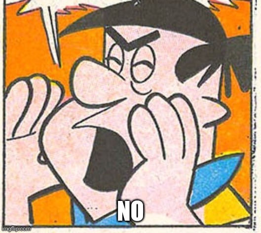 NO | made w/ Imgflip meme maker