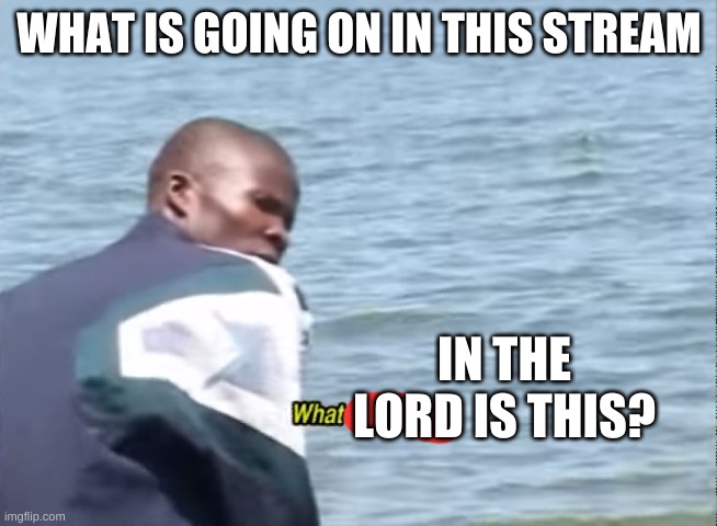 What the fu- | WHAT IS GOING ON IN THIS STREAM; IN THE LORD IS THIS? | made w/ Imgflip meme maker
