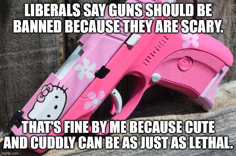 chose your poison - shot by scary gun or shot by cute and cuddly gun. | LIBERALS SAY GUNS SHOULD BE BANNED BECAUSE THEY ARE SCARY. THAT'S FINE BY ME BECAUSE CUTE AND CUDDLY CAN BE AS JUST AS LETHAL. | image tagged in guns,stupid liberals,cute,hello kitty | made w/ Imgflip meme maker