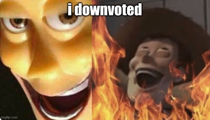 Evil Woody | i downvoted | image tagged in evil woody | made w/ Imgflip meme maker