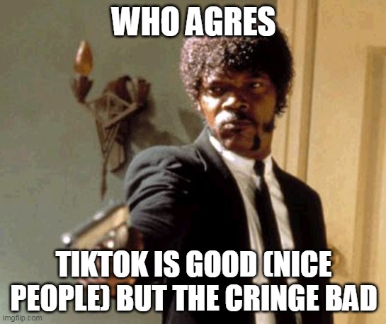Say That Again I Dare You Meme | WHO AGRES; TIKTOK IS GOOD (NICE PEOPLE) BUT THE CRINGE BAD | image tagged in memes,say that again i dare you | made w/ Imgflip meme maker