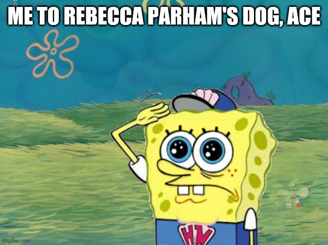 Spongebob salute | ME TO REBECCA PARHAM'S DOG, ACE | image tagged in spongebob salute | made w/ Imgflip meme maker