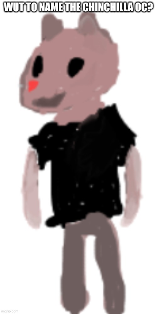 WUT TO NAME THE CHINCHILLA OC? | made w/ Imgflip meme maker