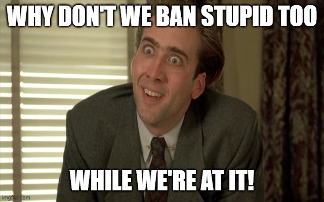 Crazy Nick Cage! | WHY DON'T WE BAN STUPID TOO WHILE WE'RE AT IT! | image tagged in crazy nick cage | made w/ Imgflip meme maker