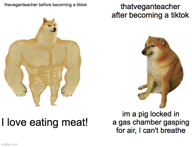 but seriously | theveganteacher before becoming a tiktok; thatveganteacher after becoming a tiktok; I love eating meat! im a pig locked in a gas chamber gasping for air, I can't breathe | image tagged in memes,buff doge vs cheems,funny,gifs,thatveganteacher,vegan | made w/ Imgflip meme maker