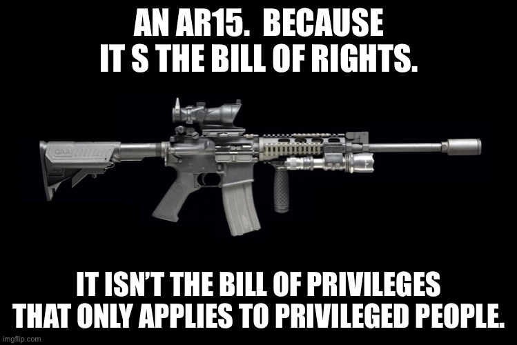 AR15 | AN AR15.  BECAUSE IT S THE BILL OF RIGHTS. IT ISN’T THE BILL OF PRIVILEGES THAT ONLY APPLIES TO PRIVILEGED PEOPLE. | image tagged in ar15 | made w/ Imgflip meme maker