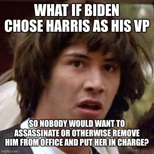 I mean...I can’t say I outright reject this idea. | WHAT IF BIDEN CHOSE HARRIS AS HIS VP; SO NOBODY WOULD WANT TO ASSASSINATE OR OTHERWISE REMOVE HIM FROM OFFICE AND PUT HER IN CHARGE? | image tagged in memes,conspiracy keanu | made w/ Imgflip meme maker