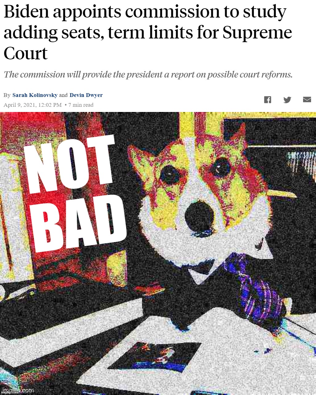 that's what I'm talkin' about | NOT BAD | image tagged in lawyer corgi dog deep-fried,scotus,supreme court,lawyer corgi dog,lawyer dog,joe biden | made w/ Imgflip meme maker