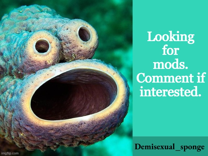 Looking for mods. Comment if interested. | image tagged in announcement,demisexual_sponge | made w/ Imgflip meme maker