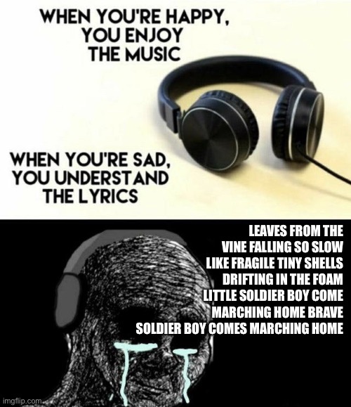 When you’re happy you enjoy the music | LEAVES FROM THE VINE FALLING SO SLOW LIKE FRAGILE TINY SHELLS DRIFTING IN THE FOAM
LITTLE SOLDIER BOY COME MARCHING HOME BRAVE SOLDIER BOY COMES MARCHING HOME | image tagged in when you re happy you enjoy the music,memes | made w/ Imgflip meme maker