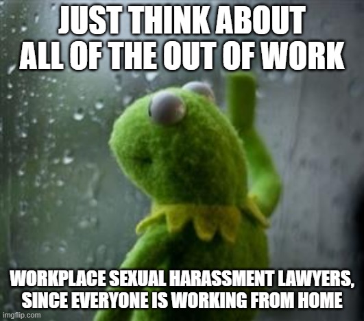 sad kermit at window | JUST THINK ABOUT ALL OF THE OUT OF WORK; WORKPLACE SEXUAL HARASSMENT LAWYERS, SINCE EVERYONE IS WORKING FROM HOME | image tagged in sad kermit at window | made w/ Imgflip meme maker