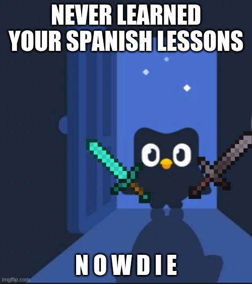 Duolingo bird | NEVER LEARNED YOUR SPANISH LESSONS; N O W D I E | image tagged in duolingo bird | made w/ Imgflip meme maker