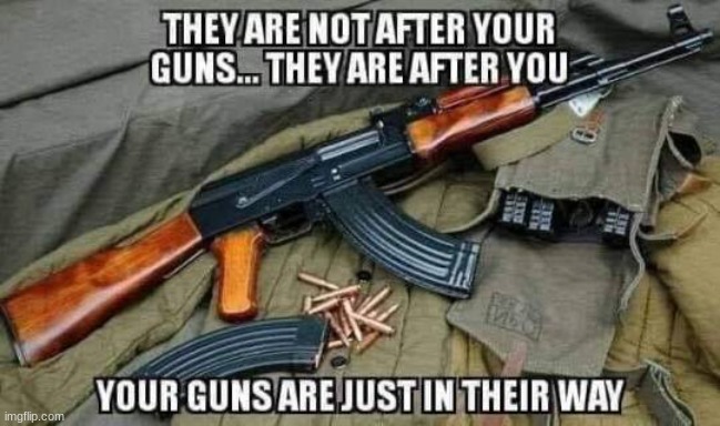 Turth | image tagged in gun laws | made w/ Imgflip meme maker