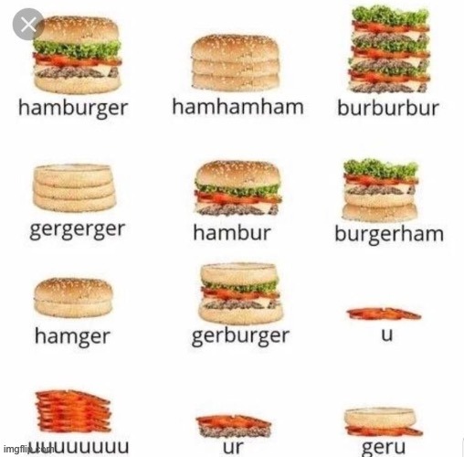 I love this | image tagged in memes,burger,lol | made w/ Imgflip meme maker