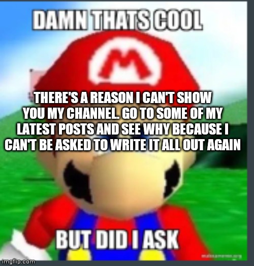 Nobody asked mario.... Nobody asked ;-; | THERE'S A REASON I CAN'T SHOW YOU MY CHANNEL. GO TO SOME OF MY LATEST POSTS AND SEE WHY BECAUSE I CAN'T BE ASKED TO WRITE IT ALL OUT AGAIN | image tagged in damn that's cool but did i ask | made w/ Imgflip meme maker