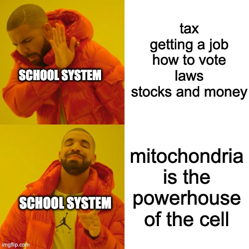 Drake Hotline Bling Meme | tax
getting a job
how to vote
laws
stocks and money; SCHOOL SYSTEM; mitochondria is the powerhouse of the cell; SCHOOL SYSTEM | image tagged in power,house,cell,drake,school,memes | made w/ Imgflip meme maker