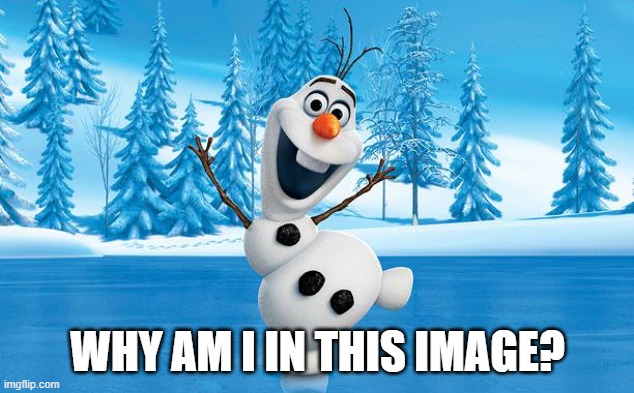 Frozen Olaff | WHY AM I IN THIS IMAGE? | image tagged in frozen olaff | made w/ Imgflip meme maker