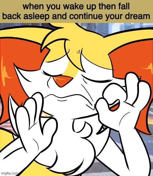 when you wake up then fall back asleep and continue your dream | image tagged in perfect | made w/ Imgflip meme maker