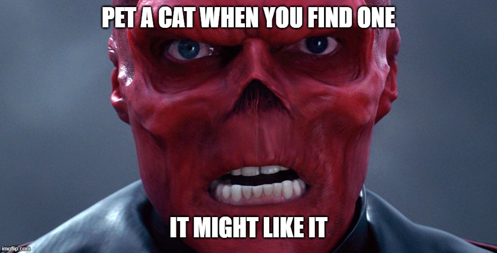 Jordan Skullerson | PET A CAT WHEN YOU FIND ONE; IT MIGHT LIKE IT | image tagged in red skull,jordan peterson,jordan skullerson | made w/ Imgflip meme maker