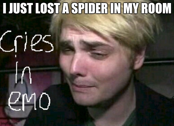 NOSLEEPFORME | I JUST LOST A SPIDER IN MY ROOM | image tagged in cries in emo | made w/ Imgflip meme maker