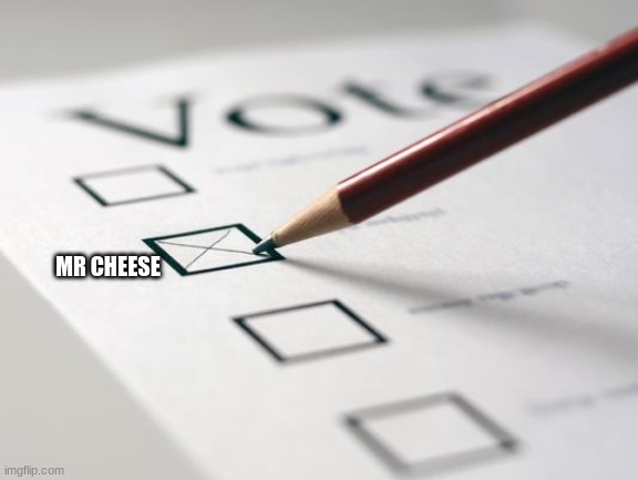 Voting Ballot | MR CHEESE | image tagged in voting ballot | made w/ Imgflip meme maker