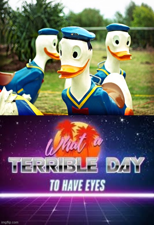 D U C K ! | image tagged in what a terrible day to have eyes,donald duck,memes | made w/ Imgflip meme maker