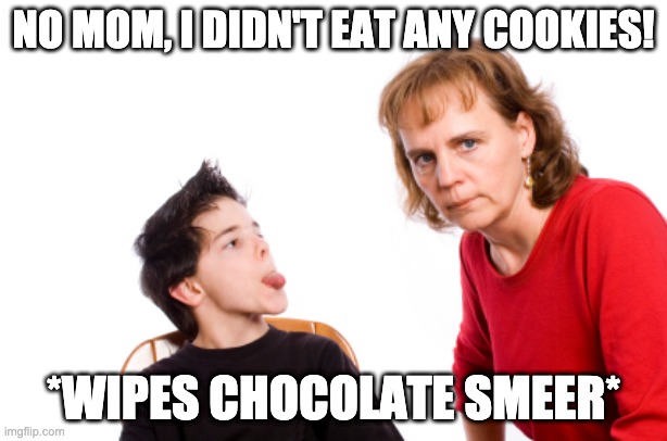 bad meme | NO MOM, I DIDN'T EAT ANY COOKIES! *WIPES CHOCOLATE SMEER* | image tagged in bad pun | made w/ Imgflip meme maker