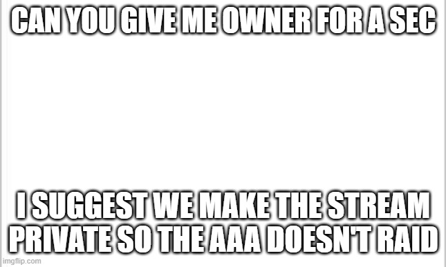 idea | CAN YOU GIVE ME OWNER FOR A SEC; I SUGGEST WE MAKE THE STREAM PRIVATE SO THE AAA DOESN'T RAID | image tagged in white background | made w/ Imgflip meme maker