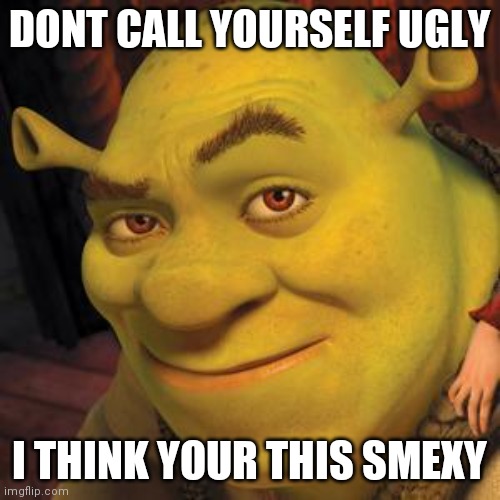 Shrek Sexy Face | DONT CALL YOURSELF UGLY; I THINK YOUR THIS SMEXY | image tagged in shrek sexy face | made w/ Imgflip meme maker