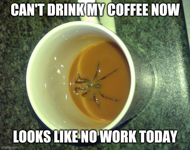GONNA HAVE TO SKIP | CAN'T DRINK MY COFFEE NOW; LOOKS LIKE NO WORK TODAY | image tagged in work,spider,coffee | made w/ Imgflip meme maker