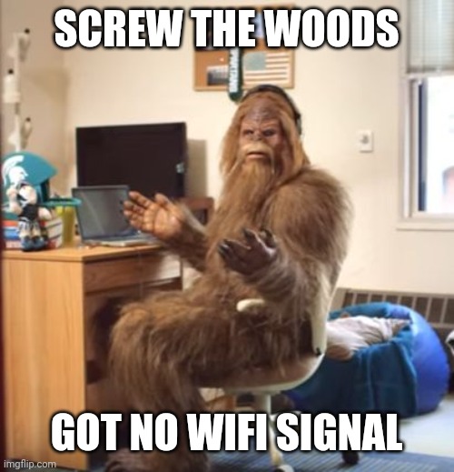 wtf sasquatch | SCREW THE WOODS GOT NO WIFI SIGNAL | image tagged in wtf sasquatch | made w/ Imgflip meme maker