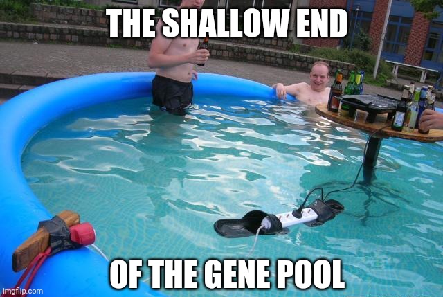 MAN: THE MOST INTELLIGENT CREATURE ON EARTH | THE SHALLOW END; OF THE GENE POOL | image tagged in fail,stupid people,wtf,pool | made w/ Imgflip meme maker