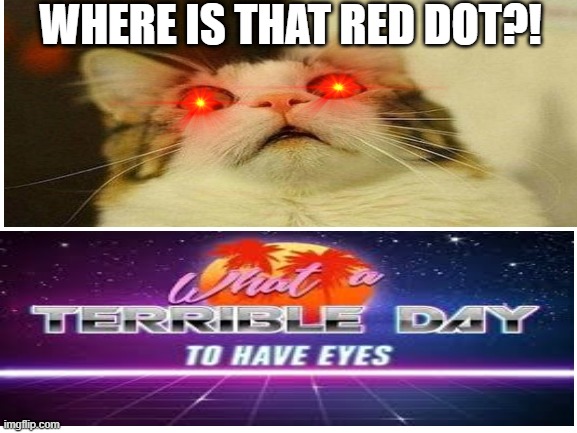 WHERE IS THAT RED DOT?! | image tagged in scared cat | made w/ Imgflip meme maker