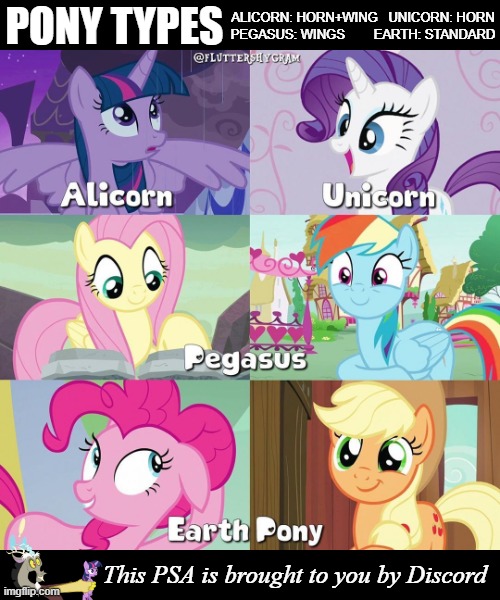 Pony Service Announcement - National Unicorn Day 2021 | ALICORN: HORN+WING   UNICORN: HORN
PEGASUS: WINGS        EARTH: STANDARD; PONY TYPES; This PSA is brought to you by Discord | image tagged in mlp,national unicorn day,discord,memes,alicorn | made w/ Imgflip meme maker